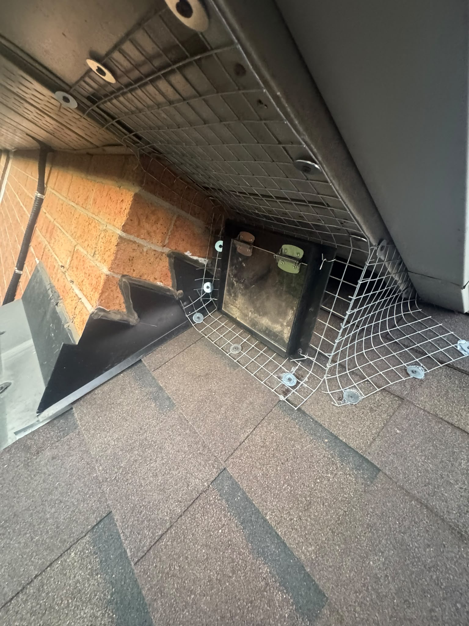 One-way wildlife exclusion door installed by Empire