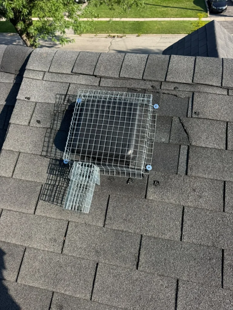 Screened roof vent with a one-way wildlife exclusion door.